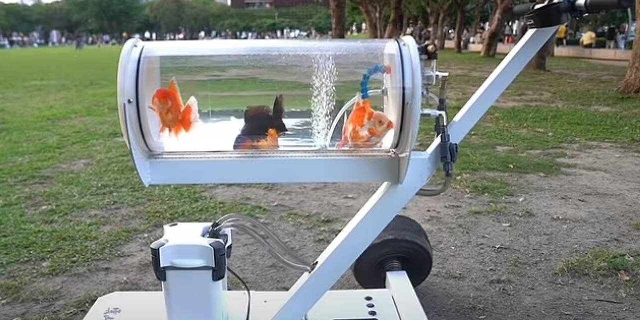 Behold the Aquatic Perambulator – A Device That Lets You Take Your Fish for a Walk