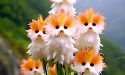 People Are Getting Scammed into Buying Seeds of Non-Existent Cat-Face Flowers Generated by AI