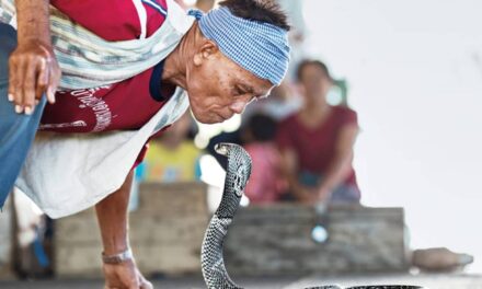 Thailand’s Cobra Village – Where Men and Snakes Live in Harmony