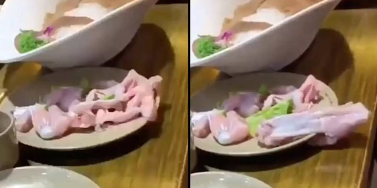 Horrifying moment raw ‘zombie’ meat ‘crawls off’ restaurant customer’s dinner plate as people scream