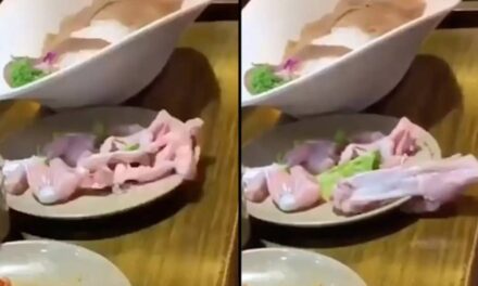 Horrifying moment raw ‘zombie’ meat ‘crawls off’ restaurant customer’s dinner plate as people scream