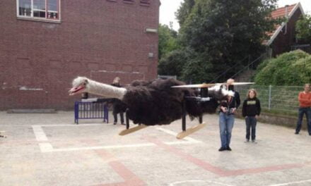 The Ostrichcopter – A Dead Ostrich Turned into a Helicopter