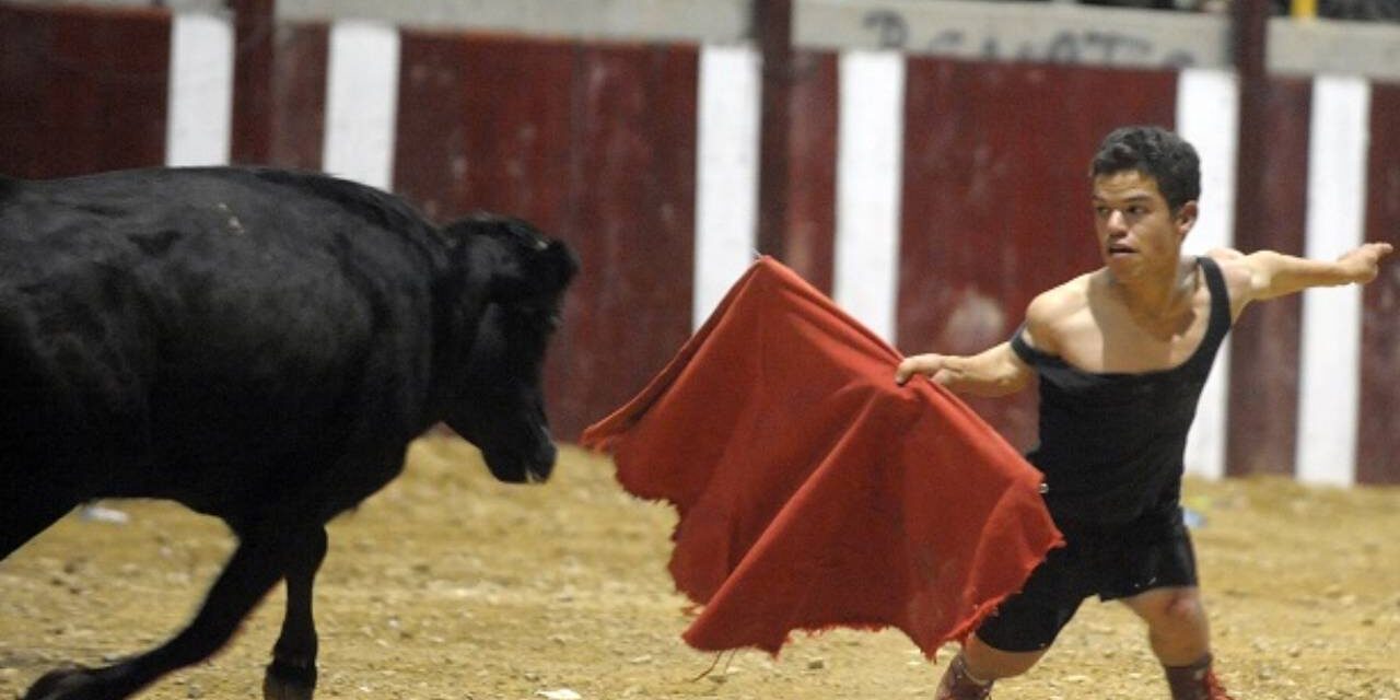 Dwarf Bullfighters – Human Exploitation Meets Animal Cruelty