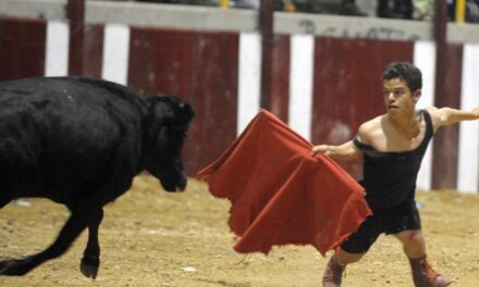 Dwarf Bullfighters – Human Exploitation Meets Animal Cruelty