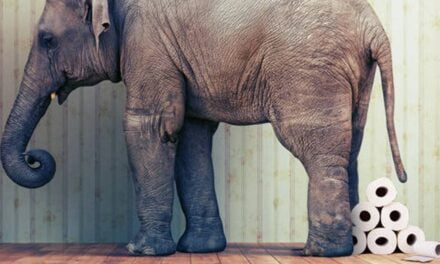 Prague Zoo Sells Elephant Dung as Souvenirs