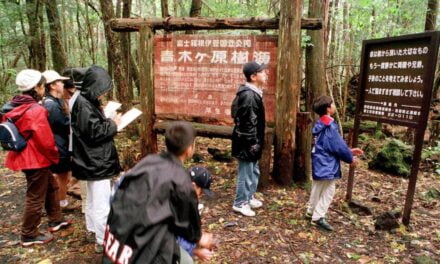 Aokigahara Forest – The Suicide Woods of Mount Fuji