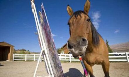 Painting Horse Gets His Own Art Gallery Exhibition