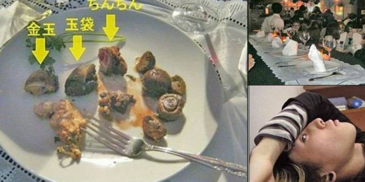 SHOCKING: Tokyo Illustrator Has Genitals Removed, Cooks and Serves Them at Public Banquet