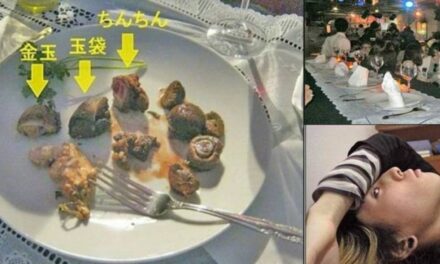 SHOCKING: Tokyo Illustrator Has Genitals Removed, Cooks and Serves Them at Public Banquet