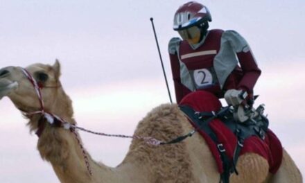 The Camel-Riding Robot Jockeys of Arabia