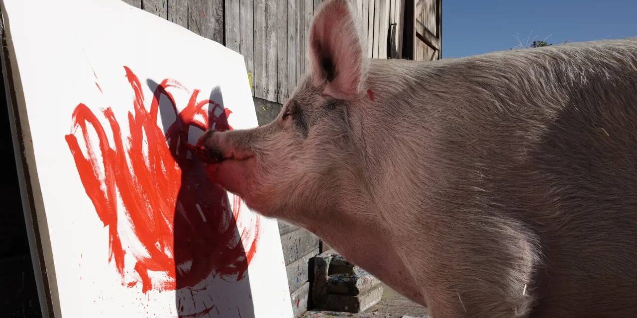 A hog named Pigcasso is famed for painting abstract portraits and has sold $1 million worth of art, her rescuer says