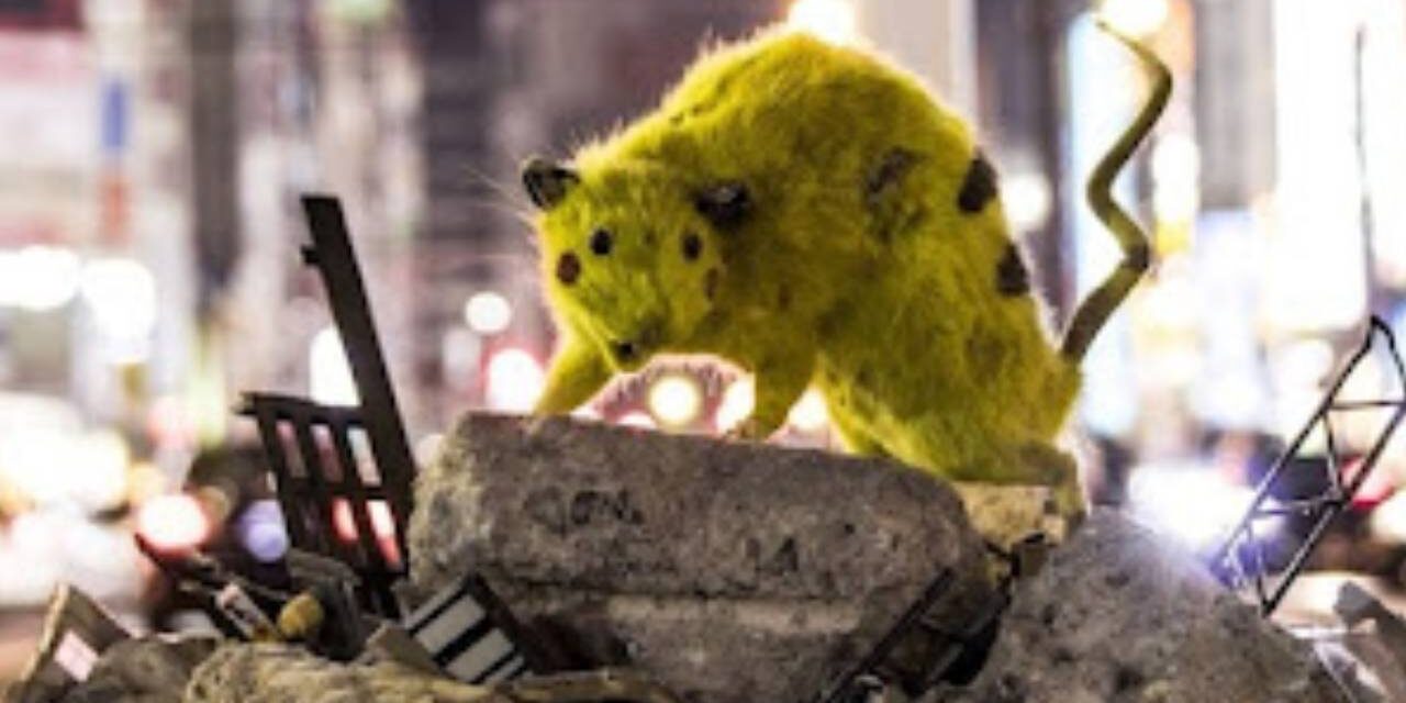 Japanese Art Collective Turns Street Rats into Taxidermied Pikachus