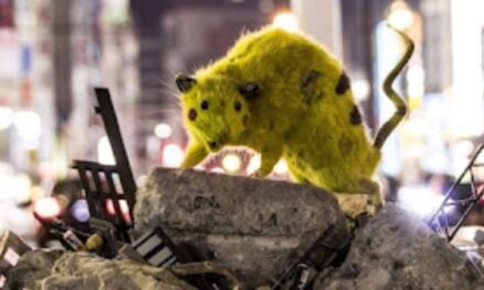 Japanese Art Collective Turns Street Rats into Taxidermied Pikachus