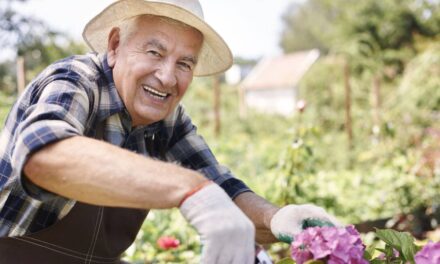 Gardener Claims Viagra Makes Plants Perkier