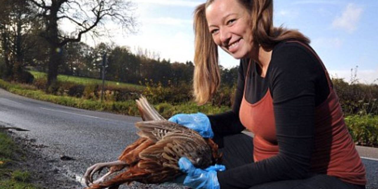 Dead hungry: Mother-to-be develops bizarre cravings for roadkill