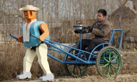 Chinese Farmer Creates Army of Home-Made Robots