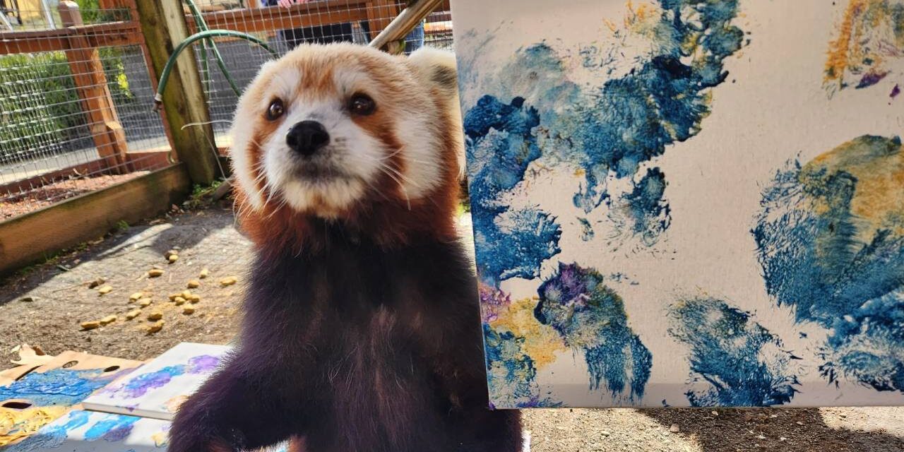 7 Incredible Artists of the Animal Kingdom