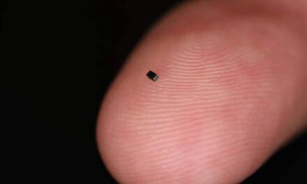 The World’s Smallest Commercially Available Camera Is the Size of a Grain of Salt