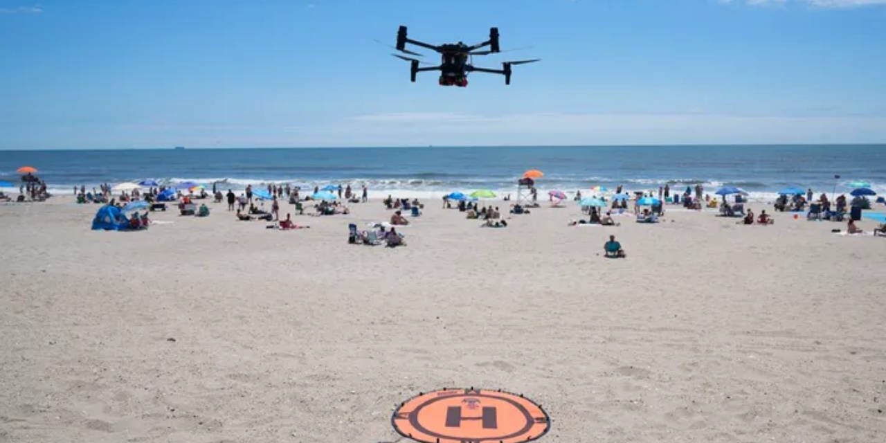 Angry Birds Are Battling Drones Patrolling New York City’s Beaches