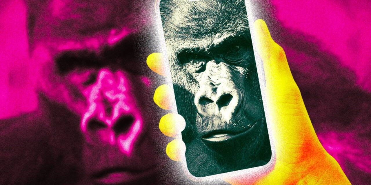 ZOOS CONCERNED AS GORILLAS BECOME HOOKED ON SMARTPHONE VIDEOS