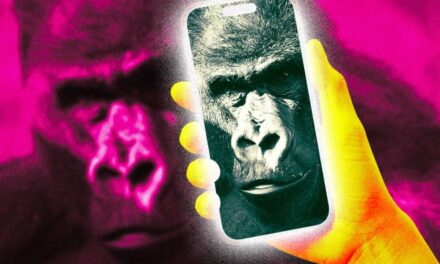 ZOOS CONCERNED AS GORILLAS BECOME HOOKED ON SMARTPHONE VIDEOS