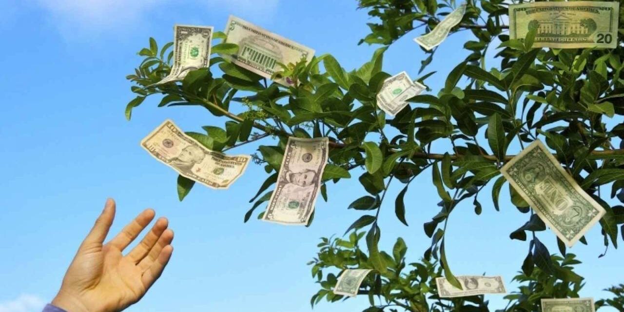 Who Says Money Doesn’t Grow on Trees?