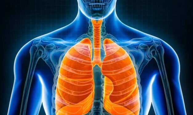 US Top Ten Leading Causes of Death Revealed