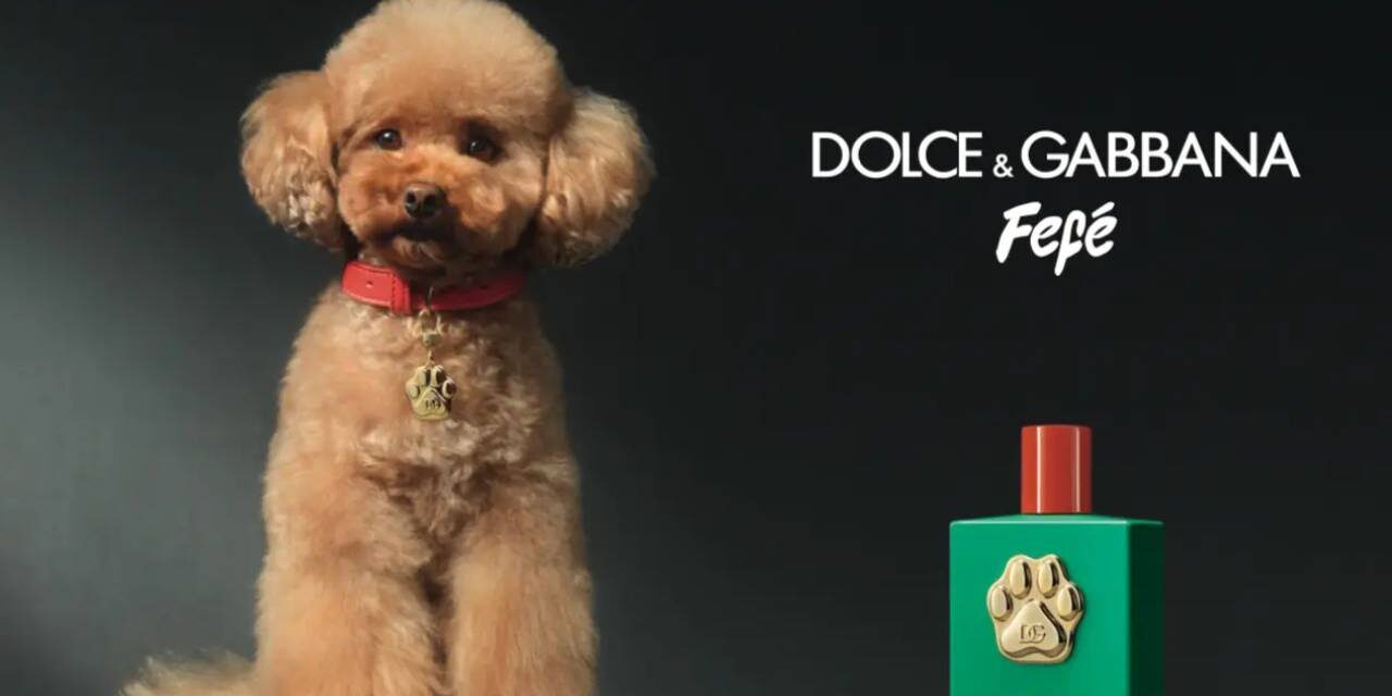 Dolce & Gabbana Launches Fefé, a $108 Perfume for Dogs