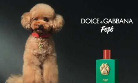 Dolce & Gabbana Launches Fefé, a $108 Perfume for Dogs