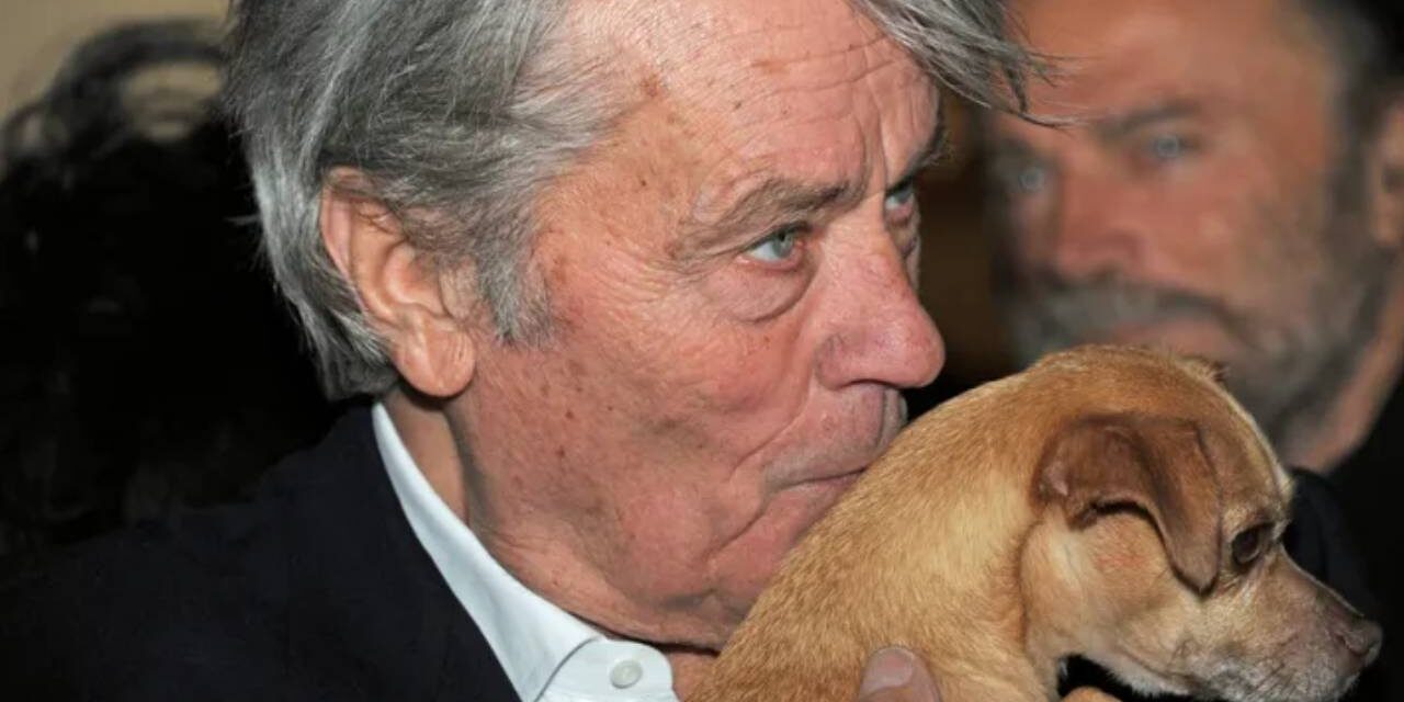 Alain Delon’s Dying Wish — To Have His Dog Killed And Buried With Him — Will Not Happen