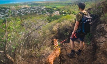 Borrow a shelter dog for a fieldtrip in Kauai – All You Need to Know