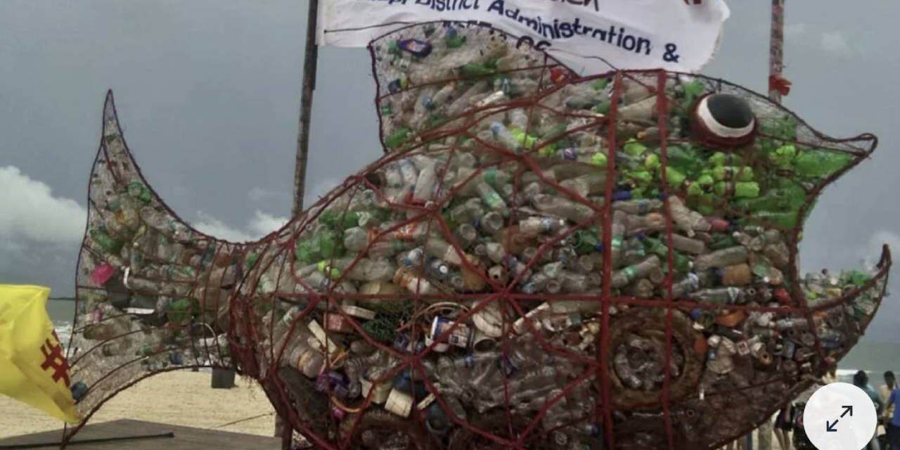 ‘The only fish that can eat plastic’ is helping to keep trash out of the ocean — here’s why they should be on every beach