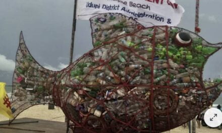 ‘The only fish that can eat plastic’ is helping to keep trash out of the ocean — here’s why they should be on every beach