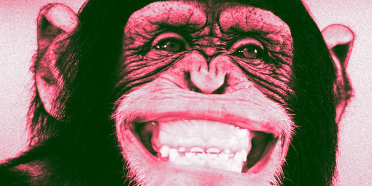 VIDEOS REIGNITE SCIENTIFIC DEBATE OVER WHETHER APES CAN SPEAK