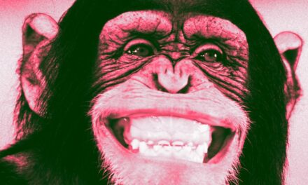 VIDEOS REIGNITE SCIENTIFIC DEBATE OVER WHETHER APES CAN SPEAK