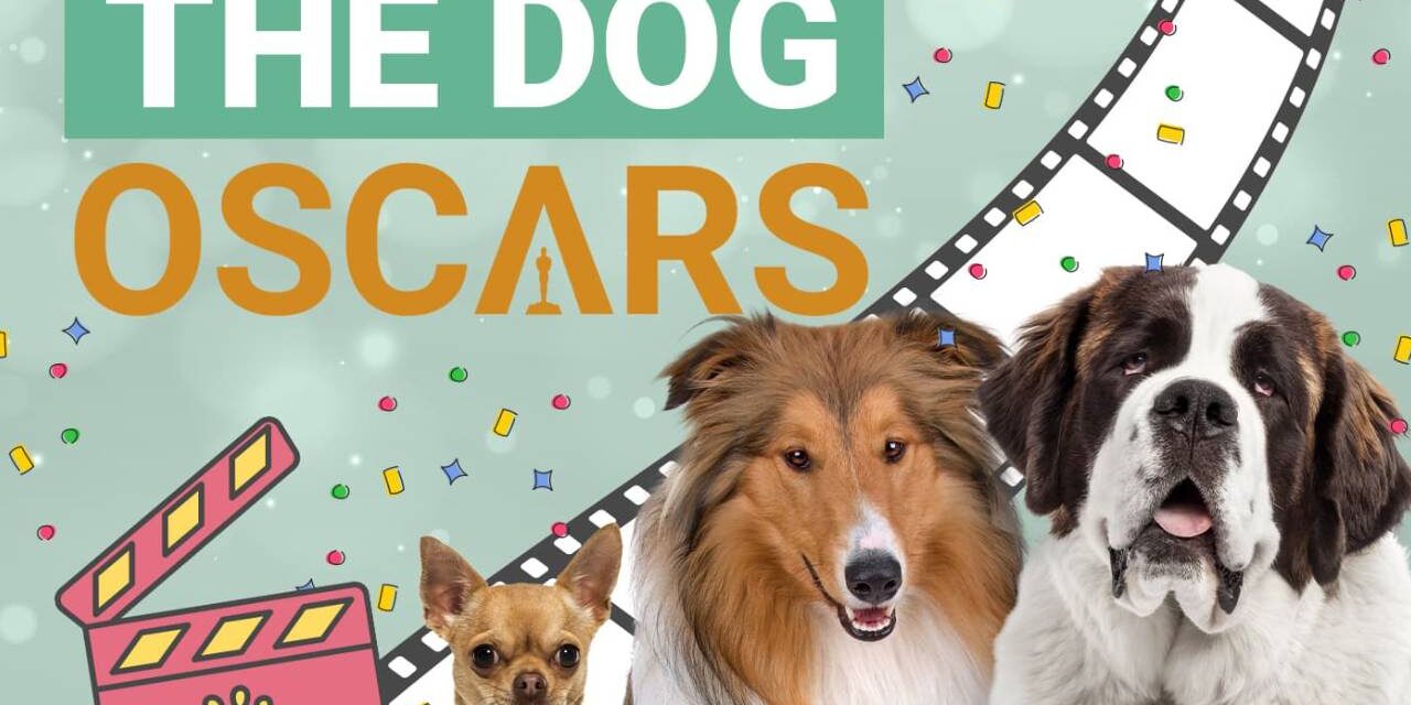 Dog Film Actors Recognized in 2024 PAWSCARS Awards: ‘A Lot of Magic’