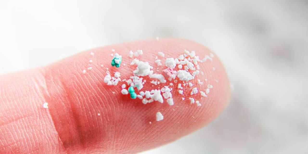 There’s a “Pretty Alarming” Amount of Microplastics in Our Brains