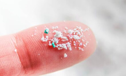 There’s a “Pretty Alarming” Amount of Microplastics in Our Brains