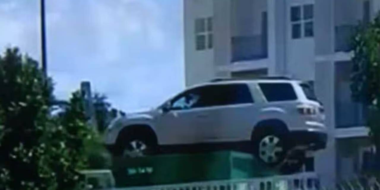 SUV spotted parked atop dumpster in Florida