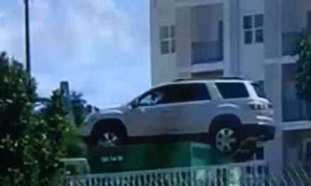 SUV spotted parked atop dumpster in Florida