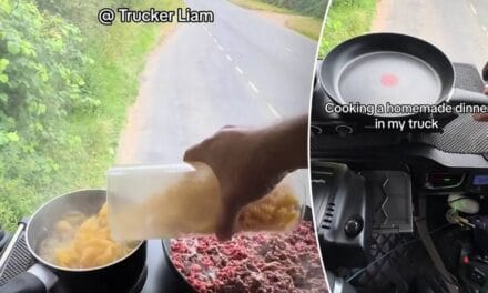 Truck driver cooks dinner on his dashboard: ‘Turned out all right, tasted even better’