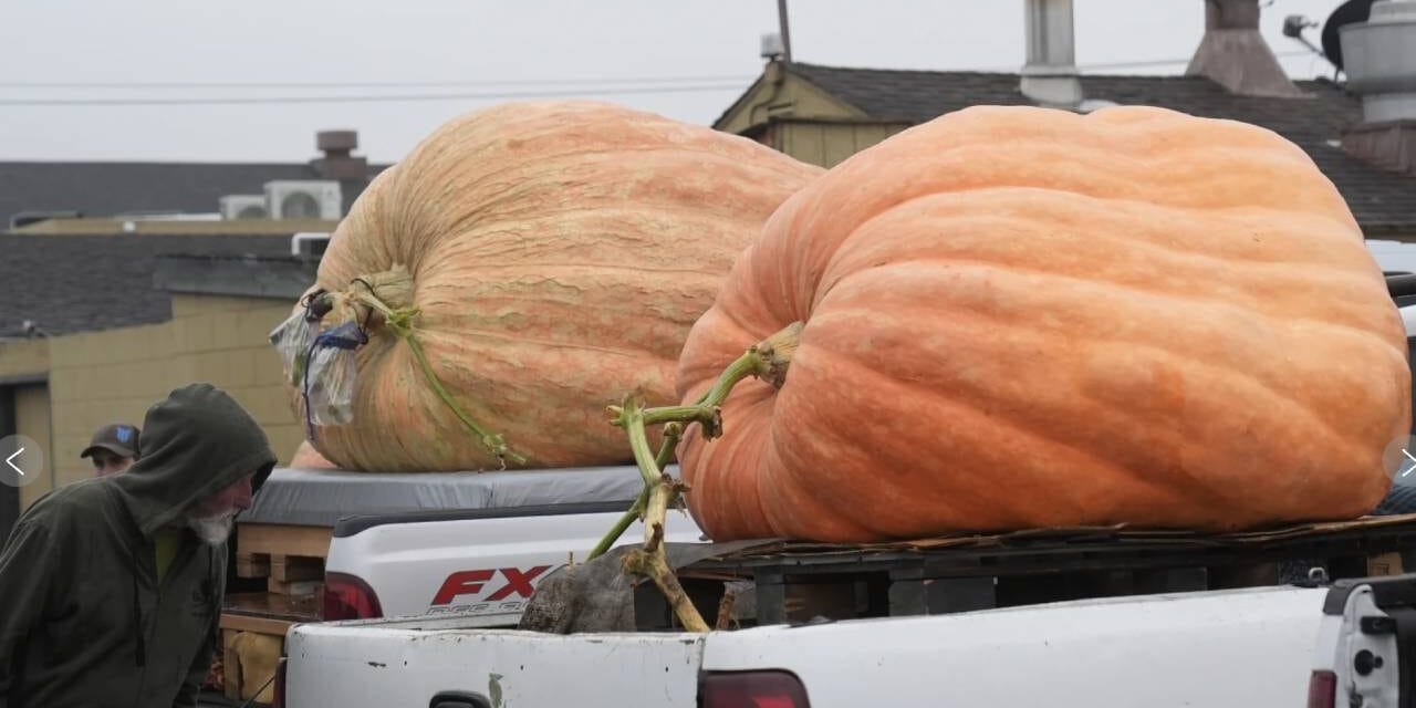 Pumpkin weighing 2,471 pounds wins California contest