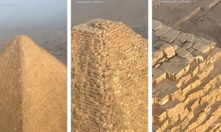 Paraglider Spots Stray Dog Chilling Atop Great Pyramid of Giza