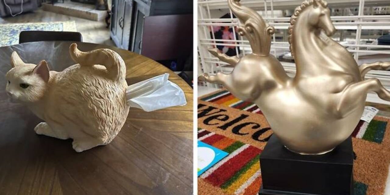 50 Times People Found The Funniest And Weirdest Things While Shopping Secondhand