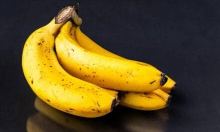 Swedish Minister’s Bizarre Banana Phobia Makes International News Headlines