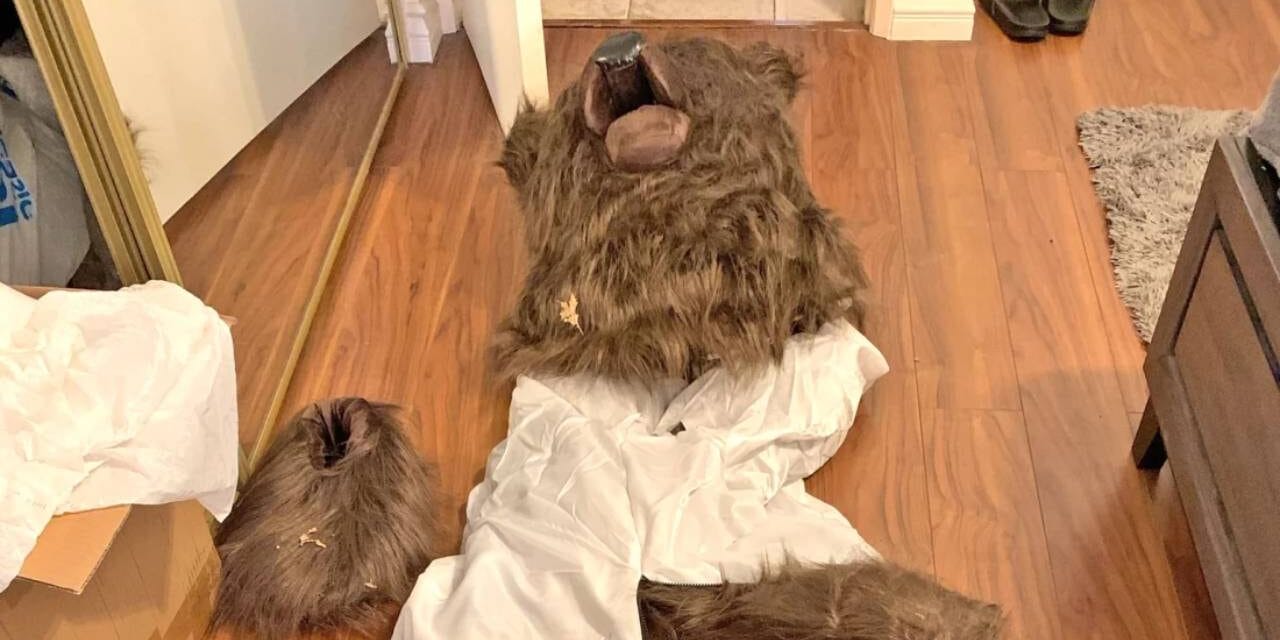 They told insurers a bear damaged their car. But it was actually a person in a costume