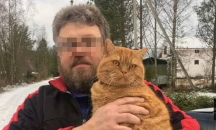 Man Bleeds to Death After Being Scratched by Beloved Pet Cat