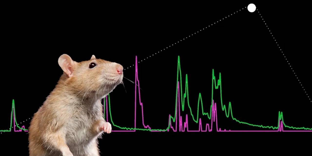 New “E-nose” Samples Odors 60 Times Per Second