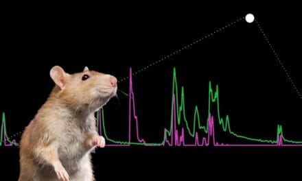 New “E-nose” Samples Odors 60 Times Per Second