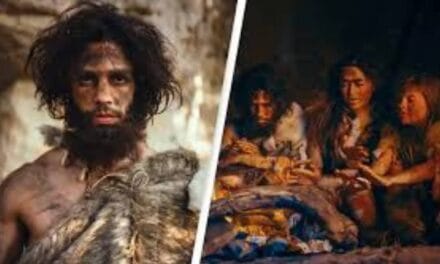 Early humans interbred with three different extinct species, scientists discover